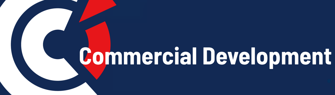 Official banner for the CCI FRANCE CHINE Commercial Development section.