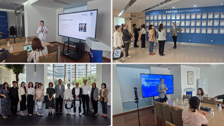 Collage of four photos from an indoor professional event: top left, a presentation being projected in a meeting room with a speaker facing a seated audience; top right, a small group of participants standing in a hall or showroom-type space; bottom left, a group photo on stage with several speakers lined up in front of a presentation screen; bottom right, a conference room with a blue screen displayed and participants seated facing the speaker.