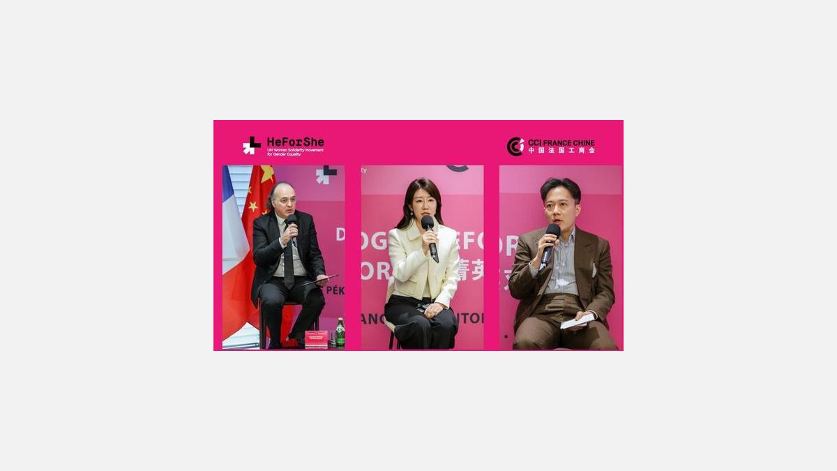 Panel discussion on gender equality at the HeForShe Dialogue.