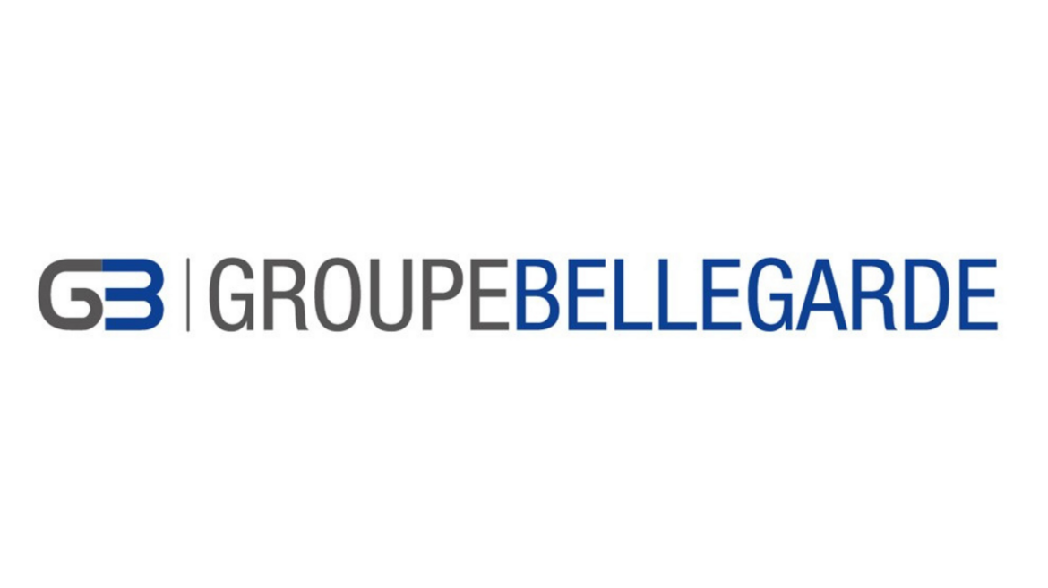 Logos of client companies using CCI FRANCE CHINE's business representation services