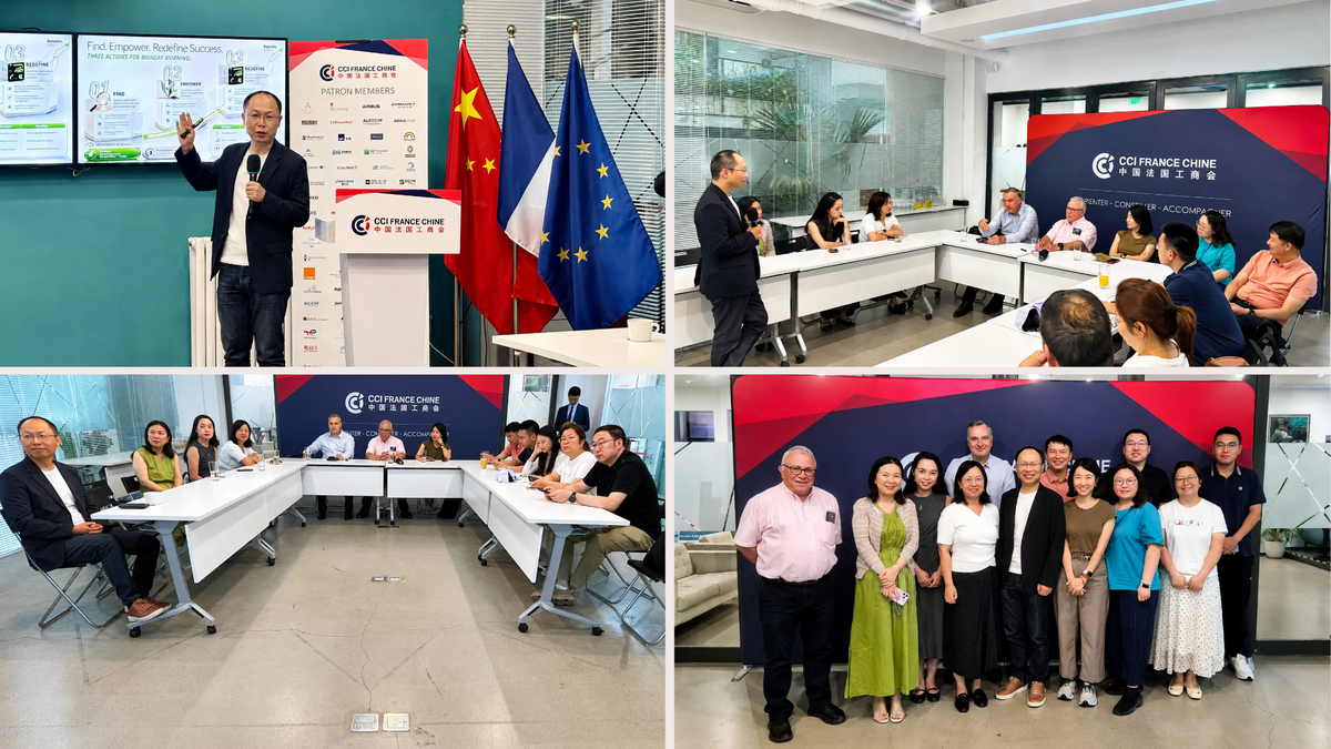 Collage of photos showing a professional workshop with participants gathered around tables, engaging in discussions and attending a presentation in a meeting room.