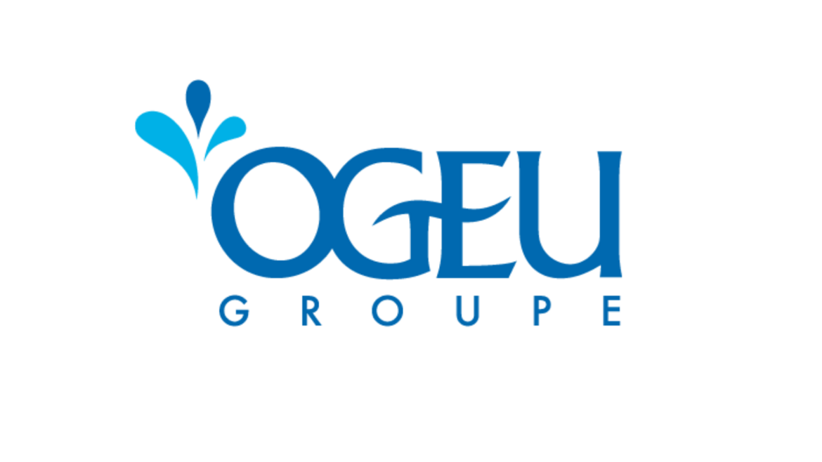 Logos of client companies using CCI FRANCE CHINE's business representation services