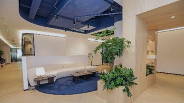 Modern office lounge area featuring minimalist design, light wood finishes, indoor plants, comfortable seating, and a blue ceiling accent, creating a welcoming and collaborative workspace environment.