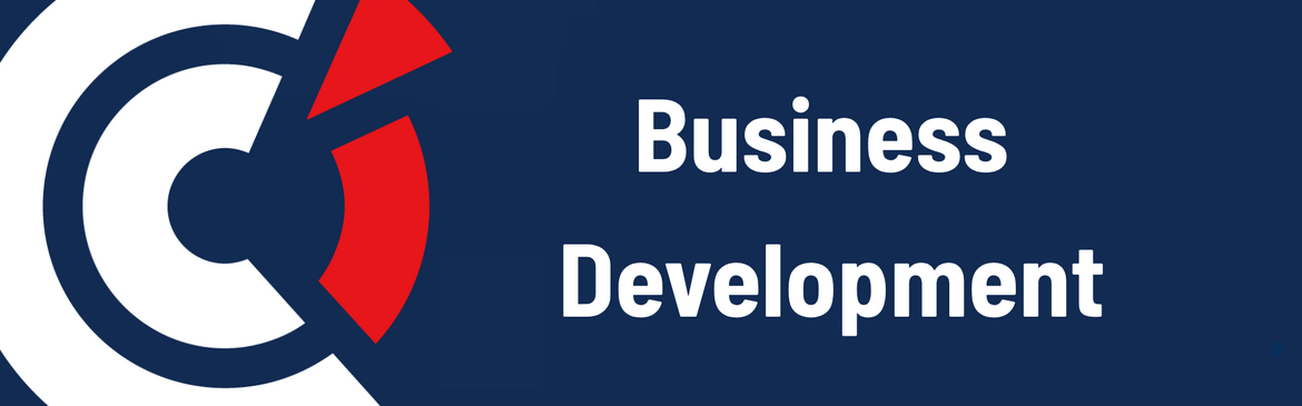 CCI FRANCE CHINE Business Development services banner