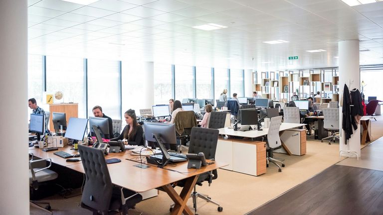 Employees working in a spacious open-plan office with rows of desks, computers, and large windows that provide abundant natural light, fostering productivity and collaboration.