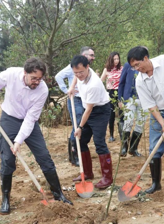 Frederic_Barbier_SGD_Mangrove